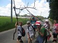IMG_6874